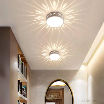 Bright LED Indoor Outdoor Ceiling Lamp