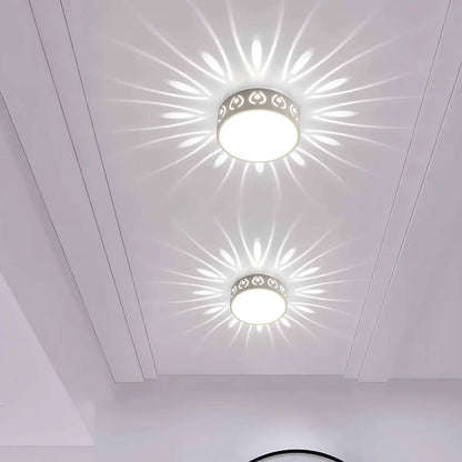 Bright LED Indoor Outdoor Ceiling Lamp