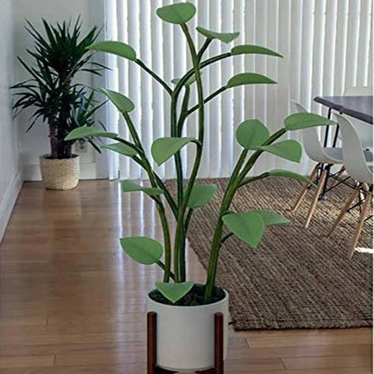 Smart Indoor Grow Light, Adjustable Mood Lamp