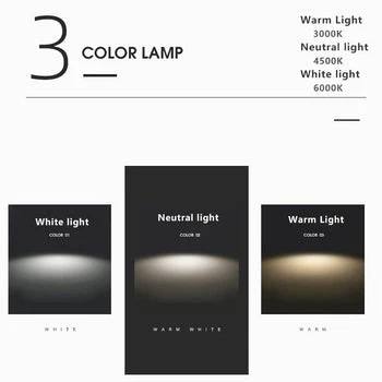 Simple LED Flush Ceiling Lamp