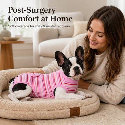 Ortekor Breathable Dog Recovery Suit for Spay & Neuter Recovery, Soft Cone Alternative Onesie to Help Reduce Licking After Surgery