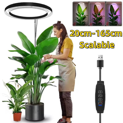 Adjustable Full Spectrum LED Grow Light Stand with Timer & Dimmer – 3 Modes, 10 Brightness Levels, Telescoping 8-65 in Height for Indoor
