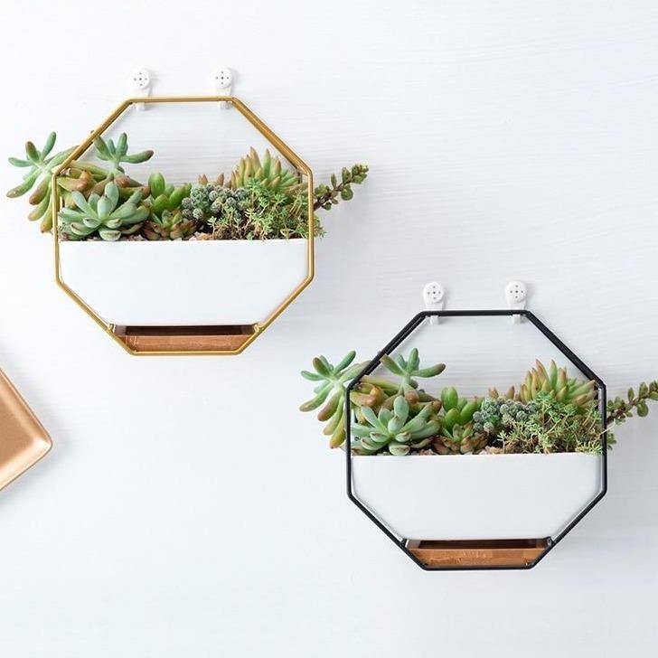 Hexa Frame Wall Planter