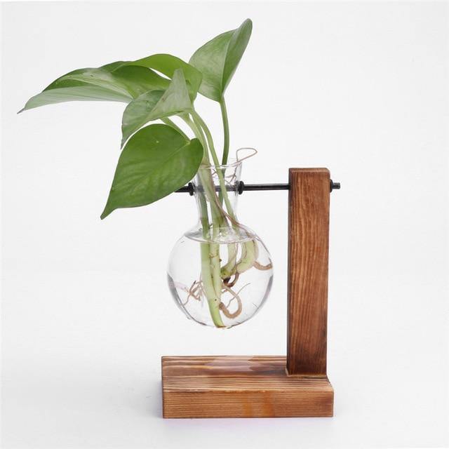 Vertical Bloom Glass Propagator
