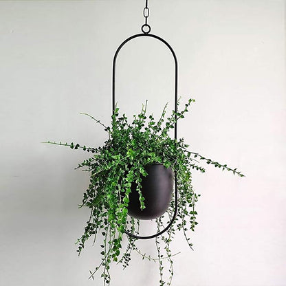 Hanging Plant Holder with Geometric Frame – Modern Wall or Ceiling Mount for Indoor Plants