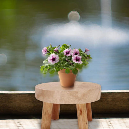 Wooden Plant Holder Seat