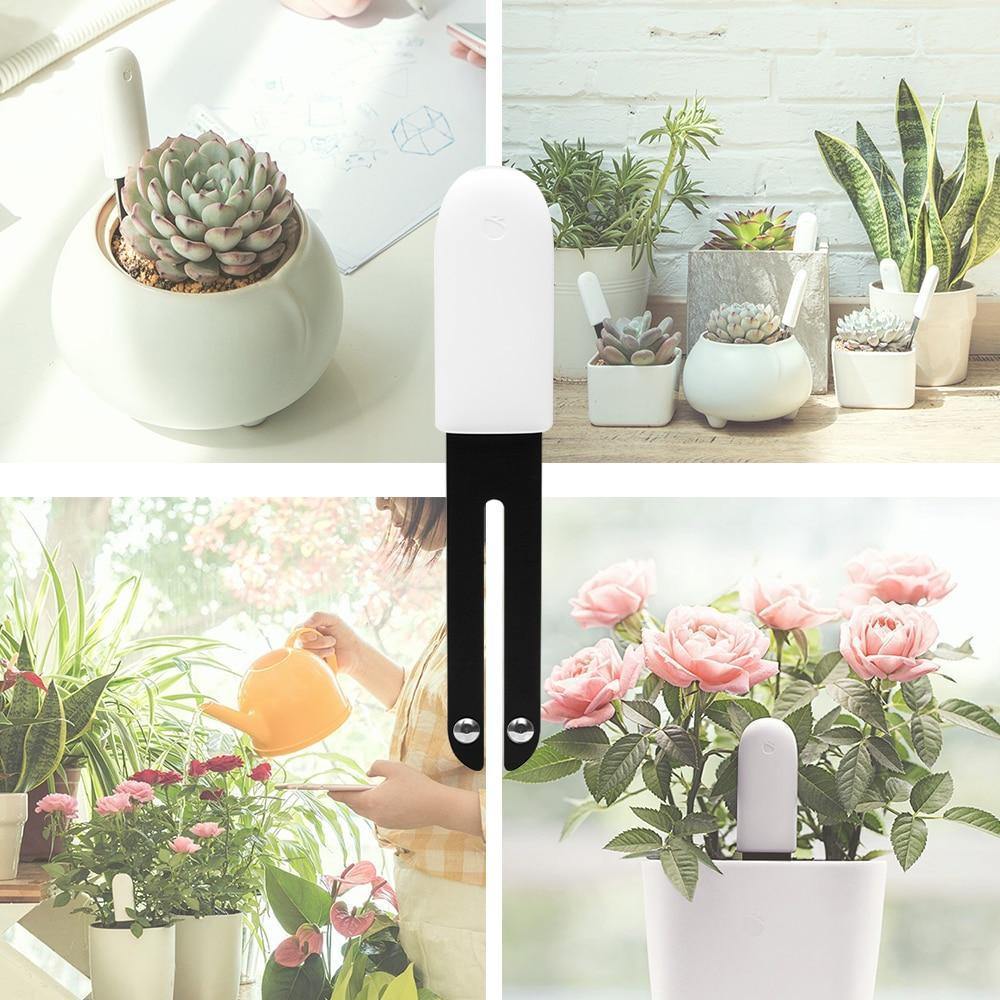 Intelligent Plant Water Meter and Wellness Sensor