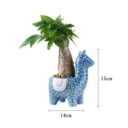 Alpaca Pottery Succulent Planter