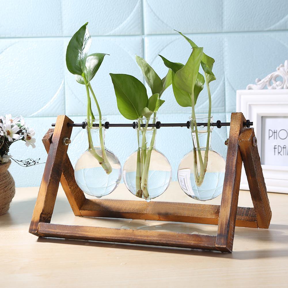 Glass Propagation Vase with A-Frame Wood Stand