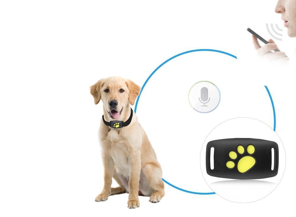 Compact Satellite Pet Locator for Cats ABS Housing 0.8 in Square Real-Time Position Monitor No Monthly Fees Outdoor Tracker