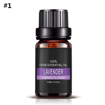 Aromatherapy Essential Oil Set – 100% Pure Plant Extracts for Diffusers, Massage & Relaxation – 0.34 fl oz Bottles