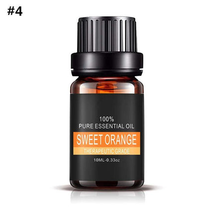 Aromatherapy Essential Oil Set – 100% Pure Plant Extracts for Diffusers, Massage & Relaxation – 0.34 fl oz Bottles