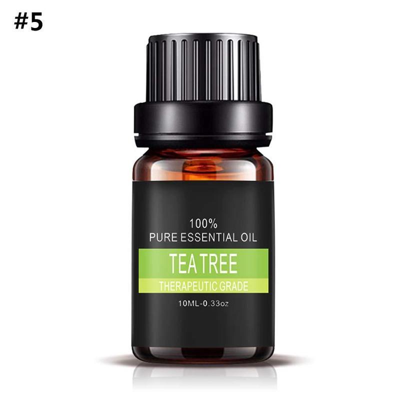 Aromatherapy Essential Oil Set – 100% Pure Plant Extracts for Diffusers, Massage & Relaxation – 0.34 fl oz Bottles
