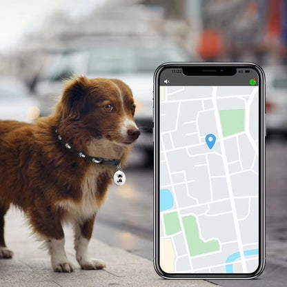 Bluetooth Cat Locator Tag with GPS Positioning and Sound Alert for Indoor & Outdoor Felines