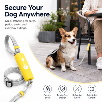 Ortekor Quick-Tether Dog Leash for Cafes, Patios & Parks - Keep Your Dog Close Hands-Free