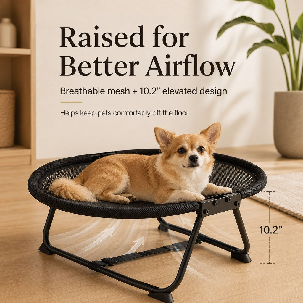 Ortekor Foldable Elevated Pet Cot for Cats & Small Dogs – Breathable Raised Bed for Home, Travel & Off-Floor Comfort