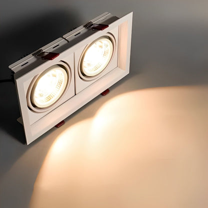 Dual-Head Adjustable LED Flush Mount Ceiling Light 9 in Aluminum Directional Spotlight with Three Color Temperatures for Kitchen Living Room