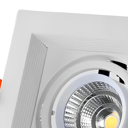 Dual-Head Adjustable LED Flush Mount Ceiling Light 9 in Aluminum Directional Spotlight with Three Color Temperatures for Kitchen Living Room