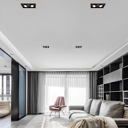 Dual-Head Adjustable LED Flush Mount Ceiling Light 9 in Aluminum Directional Spotlight with Three Color Temperatures for Kitchen Living Room