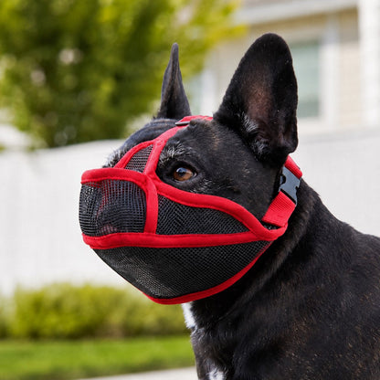 Ortekor French Bulldog Breathable Mesh Muzzle for Walks, Grooming & Scavenging Control - Drink-Friendly Short-Snout Dog Muzzle