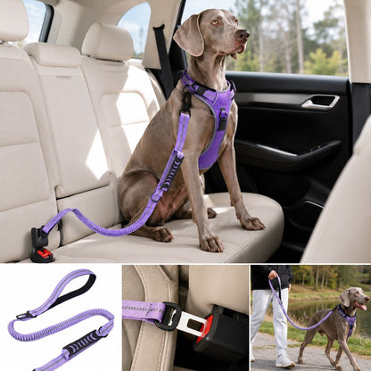Ortekor Reflective Dog Car Seat Belt Leash for Backseat Travel & Daily Walks - Shock-Absorbing Bungee Tether to Help Reduce Pulling & Driver Distraction