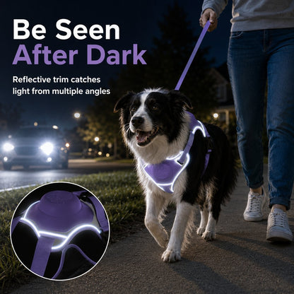 Ortekor No-Pull Reflective Dog Harness with Built-In Retractable Leash for Safer Daily Walks