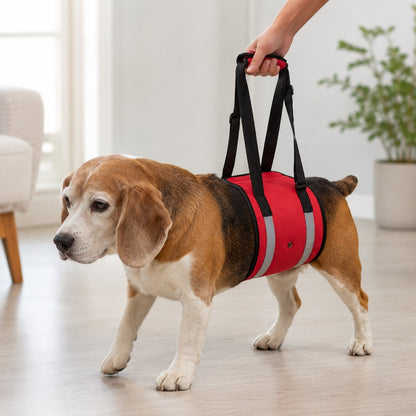 Ortekor Reflective Dog Lift Support Sling - Belly Assist for Dogs with Limited Mobility on Stairs, Walks & Car Entry