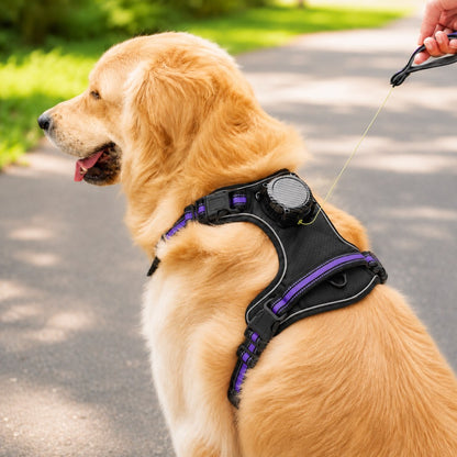 Ortekor 2-in-1 Reflective Dog Harness with Built-In Retractable Leash for Daily Walks - Close Control for Pulling Dogs