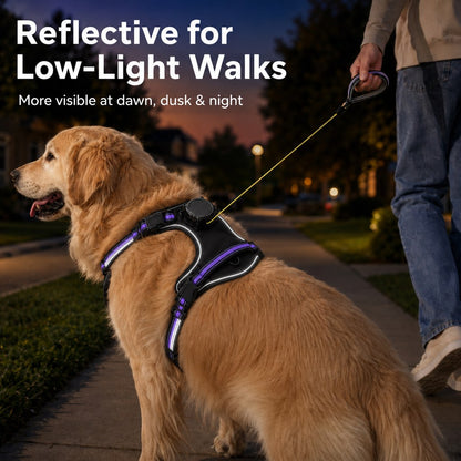 Ortekor 2-in-1 Reflective Dog Harness with Built-In Retractable Leash for Daily Walks - Close Control for Pulling Dogs