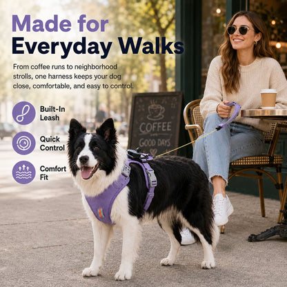 Ortekor 2-in-1 No Pull Dog Harness with Built-in Retractable Leash - Safe & Comfortable Control for Daily Walks & Outdoor Adventures