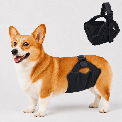Ortekor Reusable Female Dog Diaper for Heat Cycles - Adjustable Washable Sanitary Pants for Home & Travel