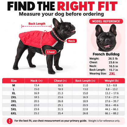 Ortekor Reversible Quilted Dog Winter Coat for Cold Walks - Water-Resistant Reflective 2-in-1 Jacket with Easy Belly Fit