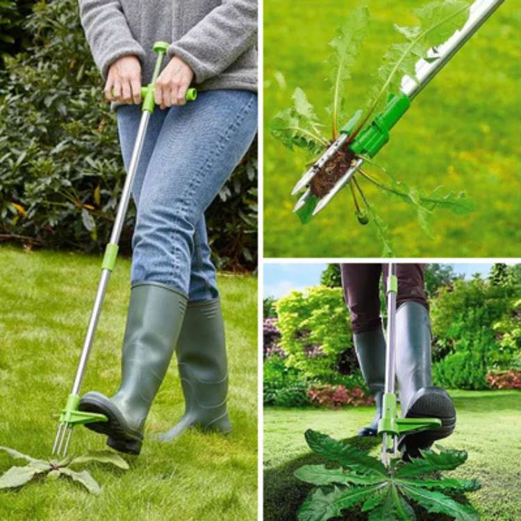 Stand-Up Weed Remover Tool with Root Extraction Claws for Lawns Gardens Flower Beds Patios Walkways Dandelion Thistle Removal