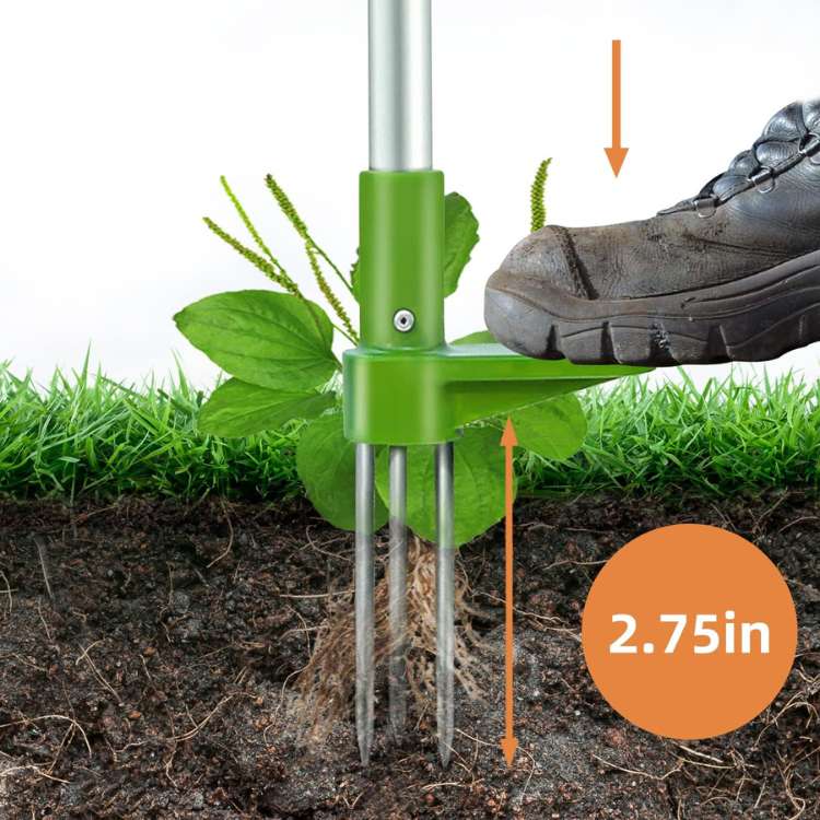 Upright Dandelion Digger Tool with Long Handle for Lawns and Flower Beds – Stand-Up Root Extractor for Gardens and Yards