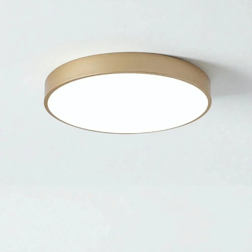 Modern Low-Profile LED Ceiling Light – 8 Vibrant Colors, Multiple Sizes, Dimmable Options for Bedroom, Living Room & Kids Spaces