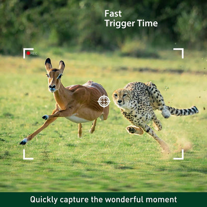 Nature Watcher | Outdoor Wildlife Camera with Night Vision & Audio Recording | High-Definition Imagery for Animal Observation
