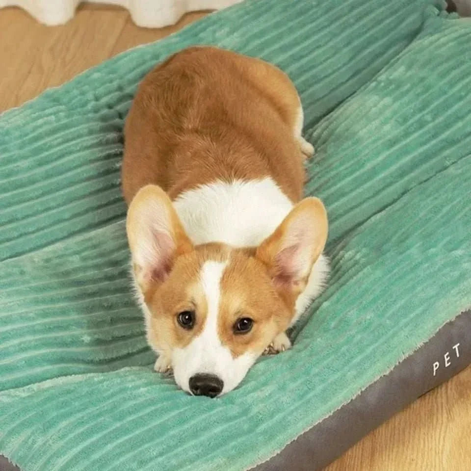 Orthopedic Dog Bed with Plush Cover - Memory Foam Support for Joint Relief & Comfort