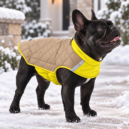 Ortekor Reversible Quilted Dog Winter Coat for Cold Walks - Water-Resistant Reflective 2-in-1 Jacket with Easy Belly Fit