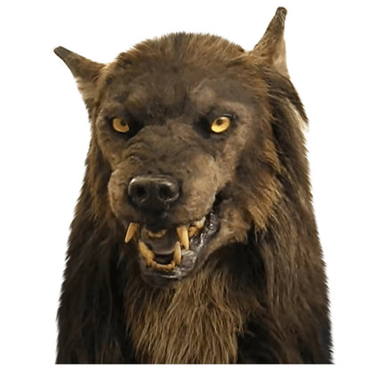 Werewolf Halloween Mask Full Head Latex Costume with Fur – Scary Animal Head Covering for Cosplay Parties Horror Themed Events Adults