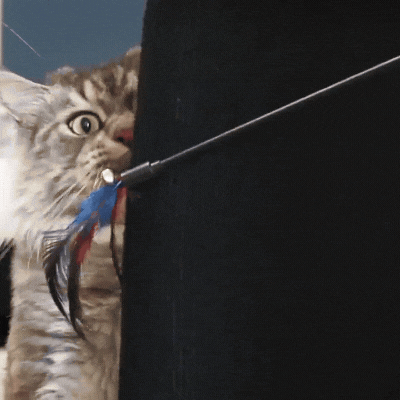 Cat Scratch Pad | Durable Polyester Scratcher Board with Easy Installation | Versatile Design for Furniture Protection