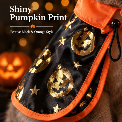 Ortekor Halloween Cat Witch Hat & Cape Costume Set for Party Photos - Easy Festive Look for Cats