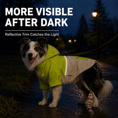 Ortekor Lightweight Water-Resistant Dog Windbreaker – Rain & Wind Coverage for Chilly Walks