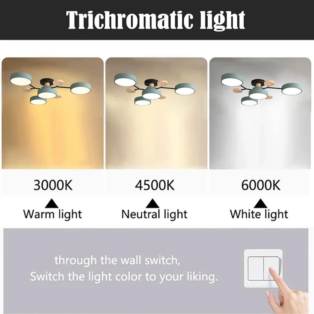 Semi-Flush Ring LED Ceiling Fixture – Multiple Rings, Iron & Acrylic, Dimmable Color Modes for Bedroom, Living Room & Hallway