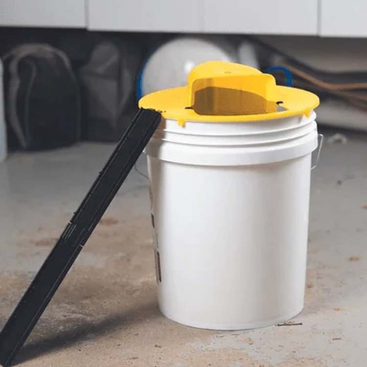 Automatic Multi-Catch Rodent Trap with Self-Resetting Tipping Platform for Bucket Setup