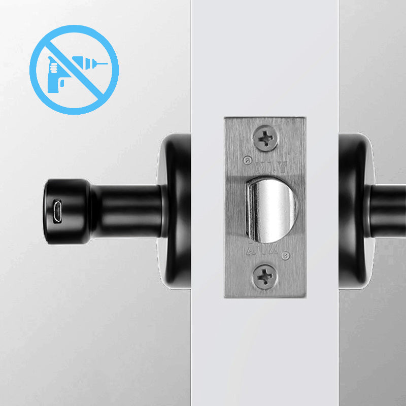 Biometric Door Handle Lock with Fingerprint Scanner, App Control & Keypad Entry for Home Security