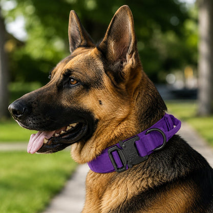 Ortekor Heavy-Duty Tactical Dog Collar for Walks & Training - Padded Handle Control for Strong Large Dogs