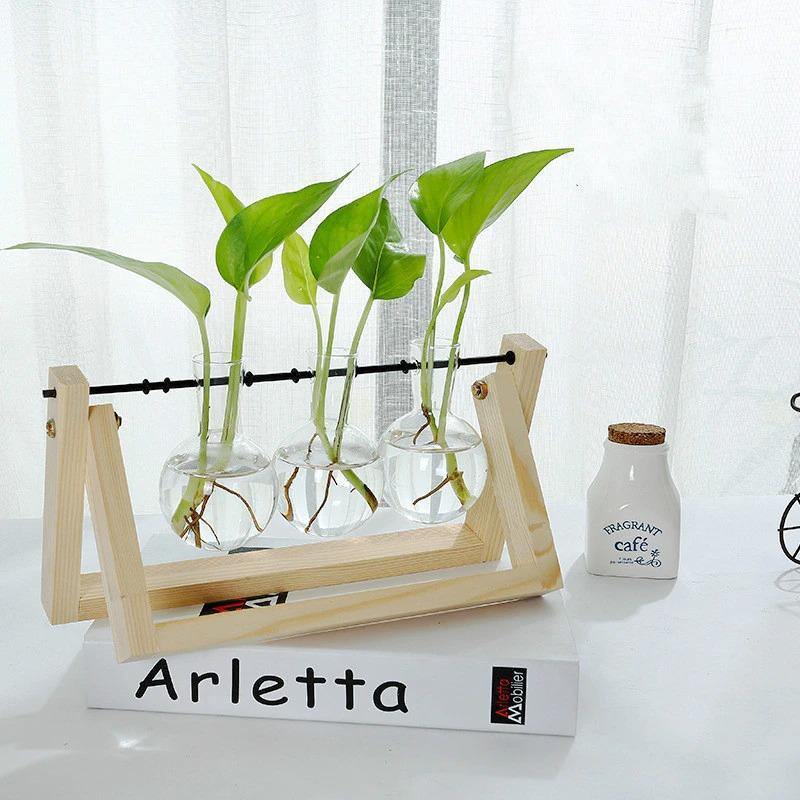 Glass Propagation Vase with A-Frame Wood Stand
