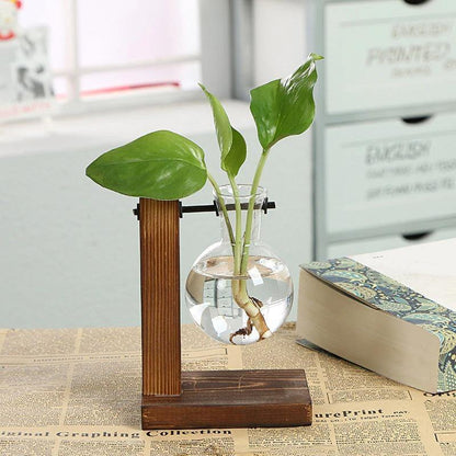 Vertical Bloom Glass Propagator