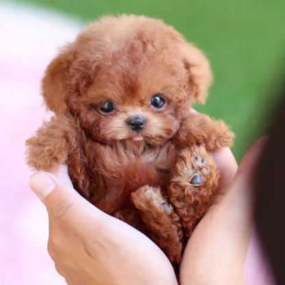 Interactive Robotic Puppy Toy with Lifelike Movements & Sounds for Kids & Adults | Realistic Pet Companion | Battery Operated Animatronic Do