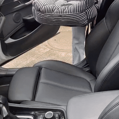 Pawssenger | Travel Pet Seat with Non-Slip Base & Adjustable Straps | Comfortable and Safe Travel Solution for Pets